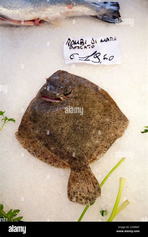 seafood in the Venice Fish market, Venice, Italy Stock Photo - Alamy