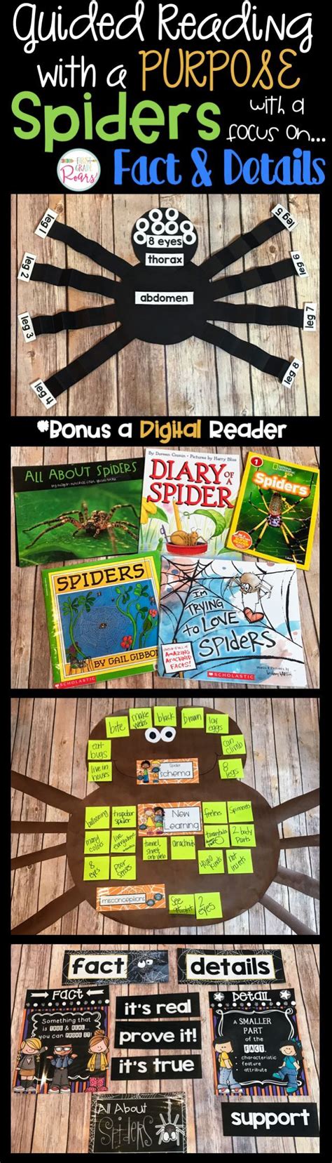 Spiders Reading Comprehension Fiction Nonfiction Writing Crafts