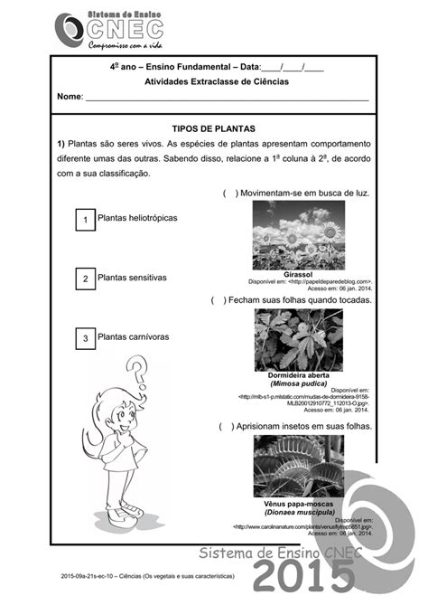 Atividades De CiÊncias 2° Ano Plantas Ii Atividades E Desenhos