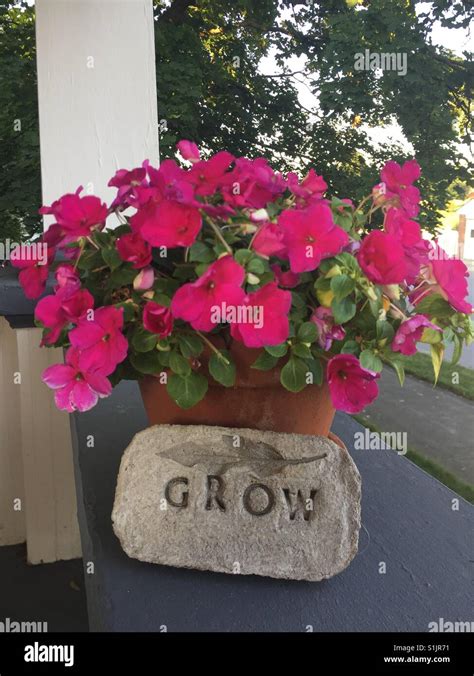 grow message   garden stock photo alamy