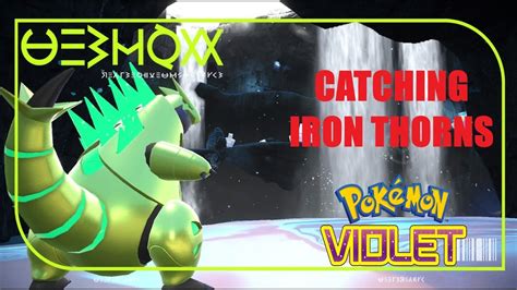 Where To Catch Iron Thorns In Pokemon Violet Youtube