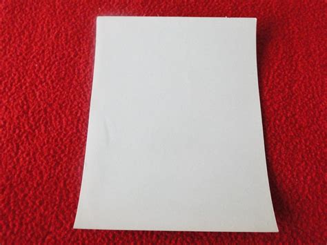 Vintage Nude Woman Erotic Risque Sexy Pinup Photo Paula Page