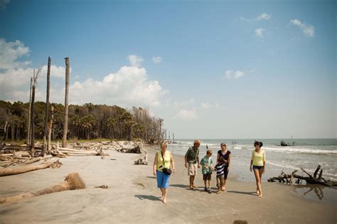 Barrier Island Eco Tours Charleston Area