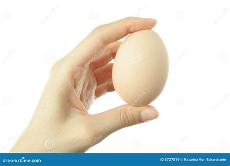 Hand Holding An Egg Stock Image Image Of Breakfast Food 3727519