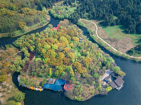 Aerial Photography Shanghai Botanical Garden Picture And Hd Photos