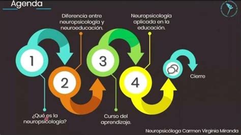 Neuropsicología Y Educación Youtube