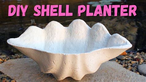 DIY Shell Planter Out Of Papercrete Lightweight Concrete Planters