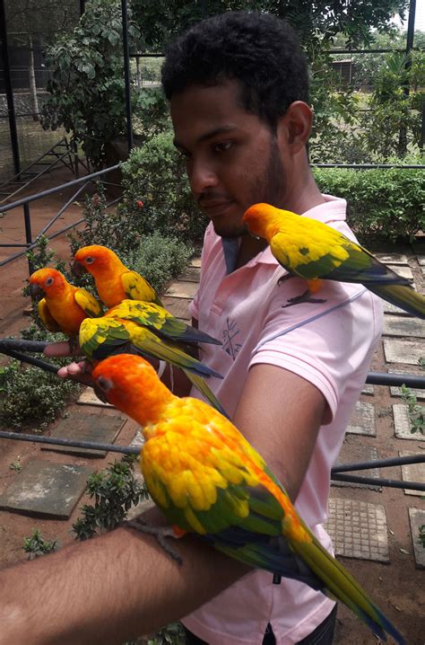 Birds Feeding Birds Park Hambantota