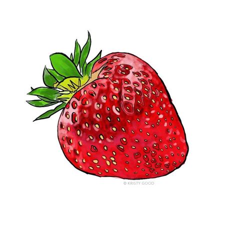 Strawberry Illustration Strawberry Drawing Fruits Drawing Drawings