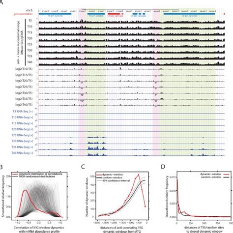 Highly Controlled Mnase Seq Reveals Variable Size Distribution Of