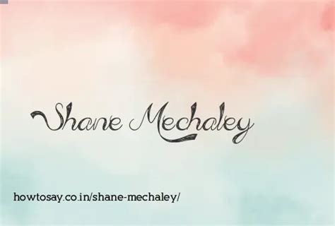 Shane Mechaley Pronunciation Meaning Synonyms And Phonetic Transcription