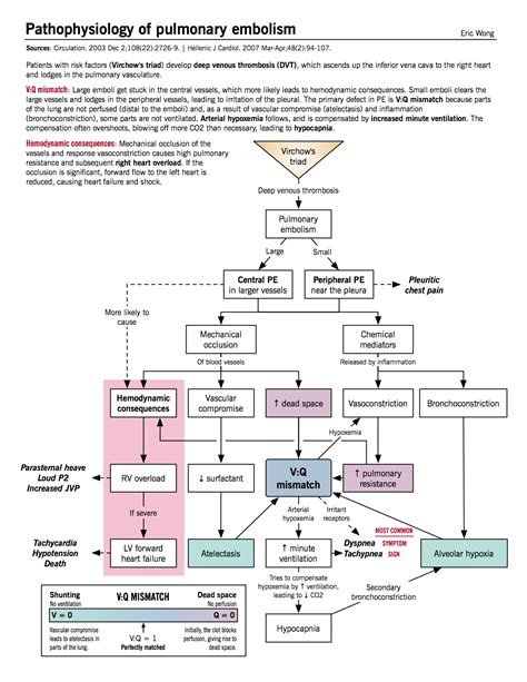 Pathophysiology Of Pulmonary Embolism Mcmaster Pathophysiology Review