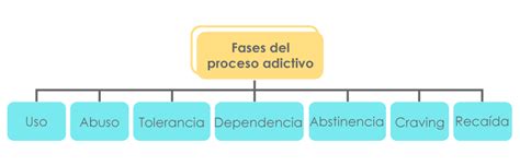 Fases Del Proceso Adictivo