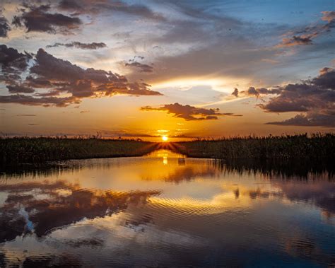 managing sea level rise  tampa florida