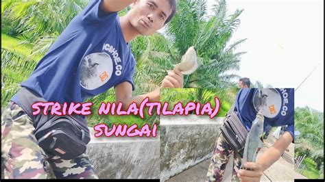 Spot Potensial Mancing Nila Liar Cukup Umpan Dengan Cacing Hasil