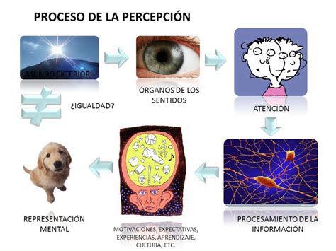 La Percepci N Mind Map