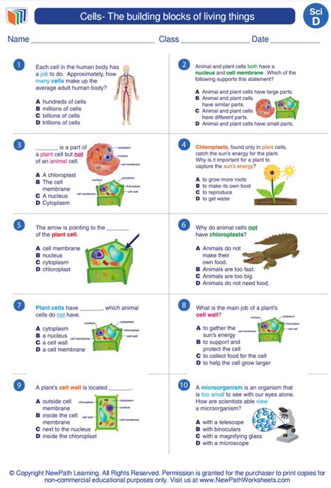 Science Worksheets Printable Worksheets Cells Lesson Fourth Grade