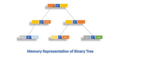 Memory Representation Of Binary Tree Data Structures And Algorithms