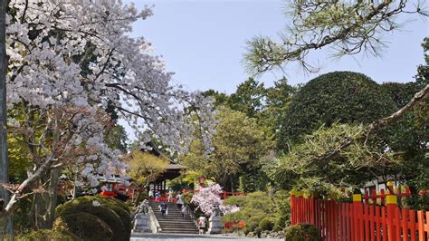 建勲神社京都府鞍馬口駅の投稿3回目。織田信長を祀る建勲神社 。 のっけから桜吹雪に ホトカミ