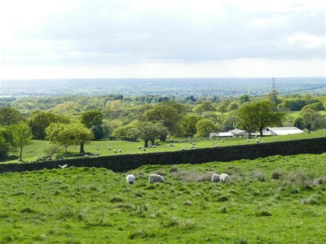 Sheep At Lyme Park Stephen Craven Cc By Sa 2 0 Geograph Britain