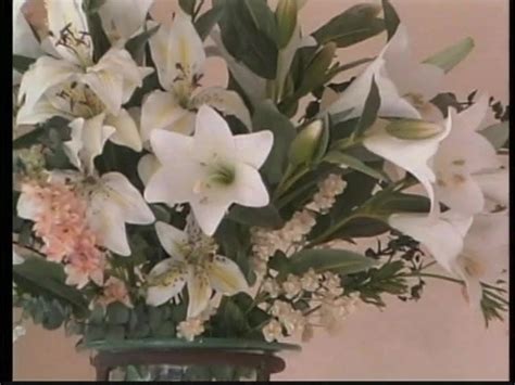 Sexy Lesbo Bimbos Eat Cunt Lesbian Lesbian Porn XHamster