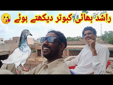 4th Pigeon Beth Gya Asim Saeeds Pigeons YouTube