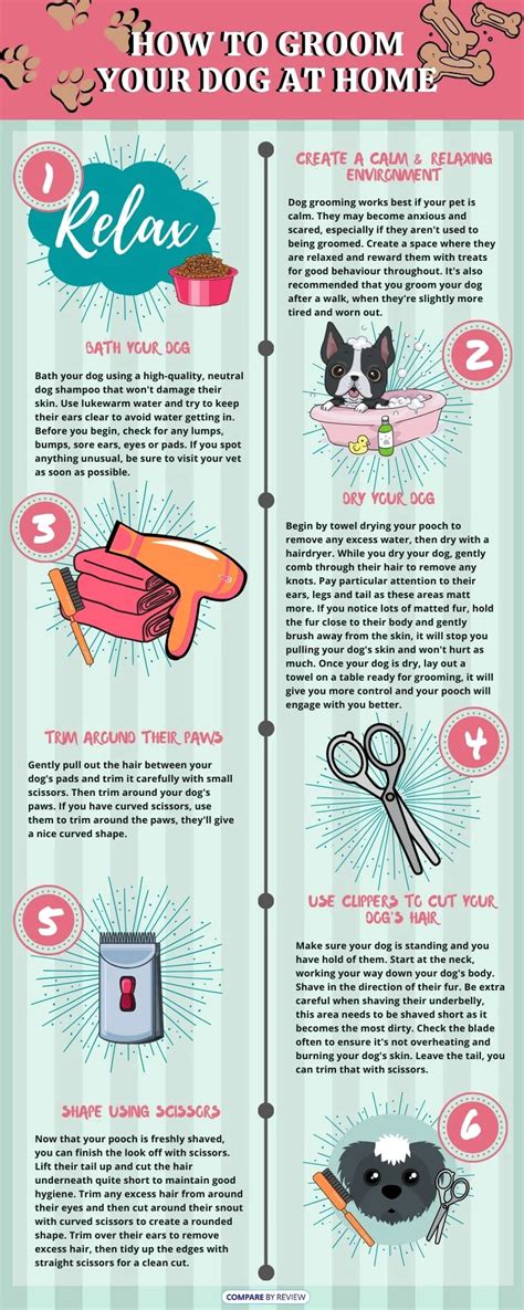 How Long To Groom A Dog Expert Guidelines And Tips Paws Puppy