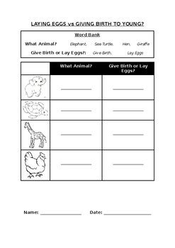 Primary Science Worksheet Collection Bundle (20 Worksheets/20 Pages)