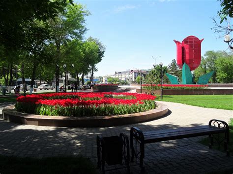 Фонтан тюльпан — Shymkent Sweet Texas