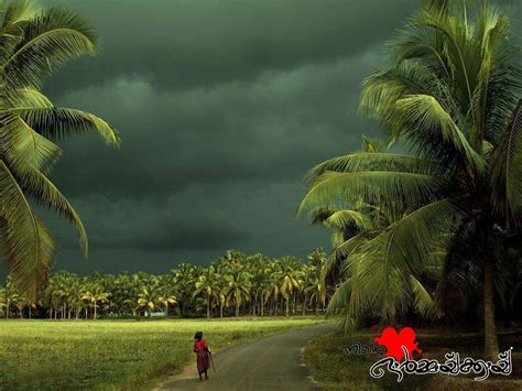 Amala Paul Hot Gym Workout Ninteaormakkayi