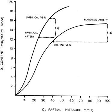 Fetal Hemoglobin Oxygen Dissociation Curve