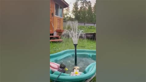 Садовый фонтанчик на даче. Красота радует глаз и греет душу! - YouTube