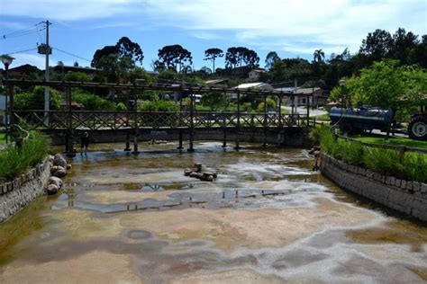 Quitandinha Fez Limpeza Do Lago Da Praça Click Riomafra