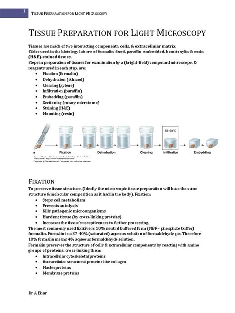 Tissue Preparation For Light Micros Pdf Staining Fixation Histology