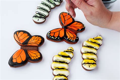 Simple Butterfly Cookies Part The Bearfoot Baker