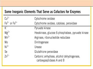 Enzyme cofactors | PPT