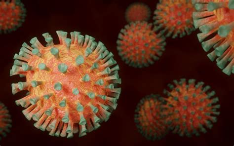 Detection Of Severe Acute Respiratory Syndrome Coronavirus 2 Sars Cov