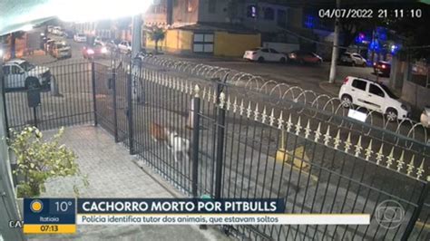 Vídeo Tutor de pitbulls que mataram cachorrinho em Vila Isabel é