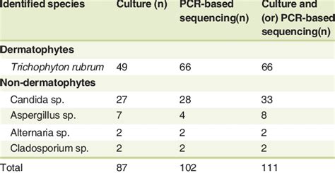 Comparative Identification Of Dermatophytes And Non Dermatophytes Download Table