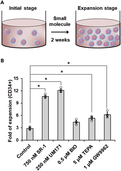 Cell Press Star Protocols