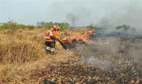 Projeto Em Parque De Campo Grande Fomenta As Categorias De Base Do