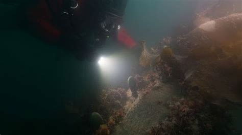 Canada Confirms Hms Terror Find