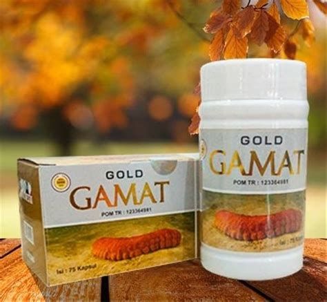 Obat Gamat Homecare24