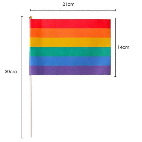 Pieces Rainbow Pride Flag Bisexual Mini Gay Stick Flags Pansexual Mini Pride Flag Transgender