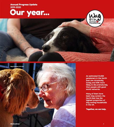 About Wag - Wag & Company