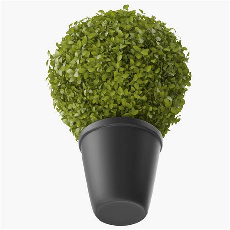 Кусты в горшках 3D Модель $29 - .max .obj .fbx - Free3D