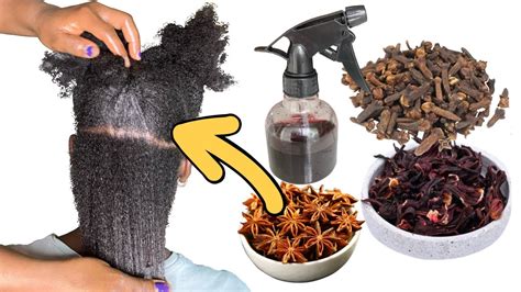 Secret Hair Growth Spray Cloves Star Anise Hibiscus Leaves Hair