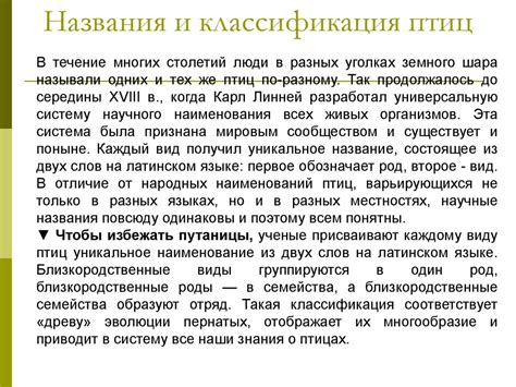 Классификация птиц - online presentation