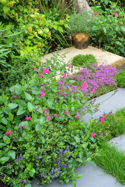 Garden Path Installation London Acacia Gardens