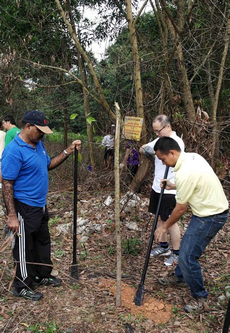 Ge Staff Plant Trees At Kdcf A Community With A Forest At Its Heart